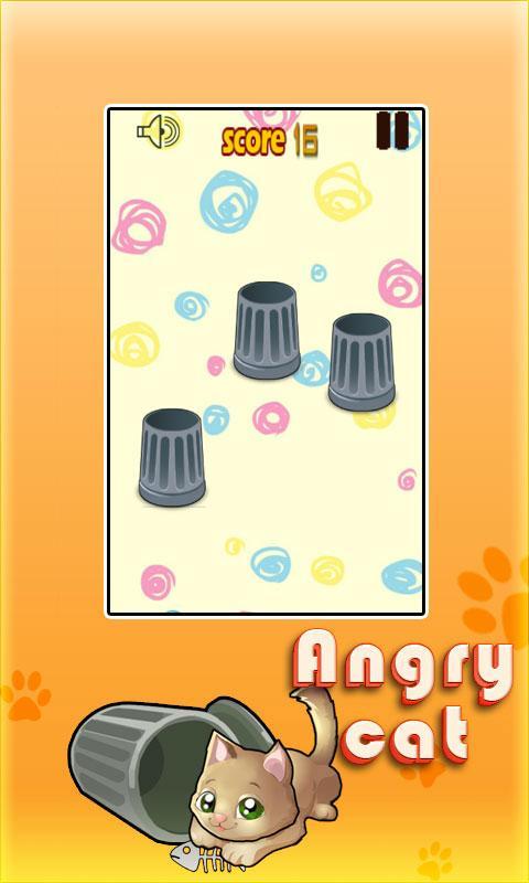 Angry Cat
