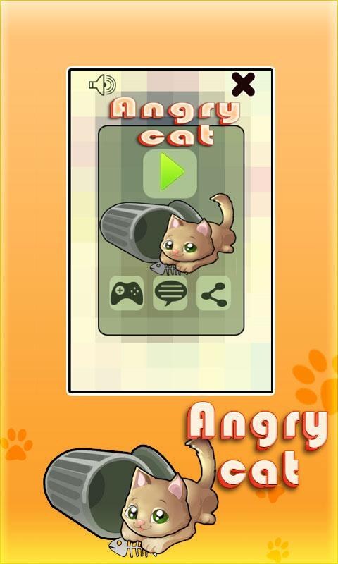 Angry Cat